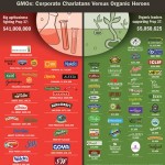 Frankenfood fight: The heated battle for GMO labelling