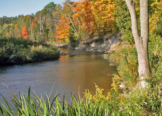 RougePark
