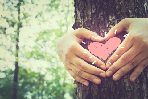Hands make a heart sign on tree trunk with drawing heart, retro color style