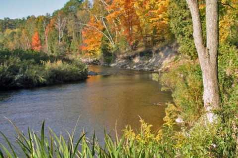 RougePark