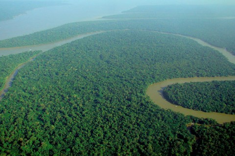 Aerial_view_of_the_Amazon_Rainforest