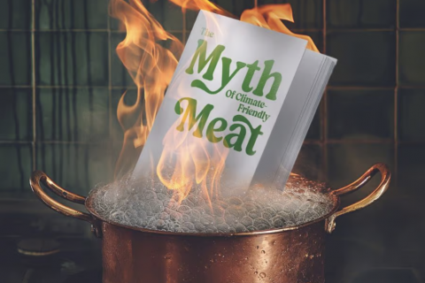 Meat climate myths_Jack Dylan