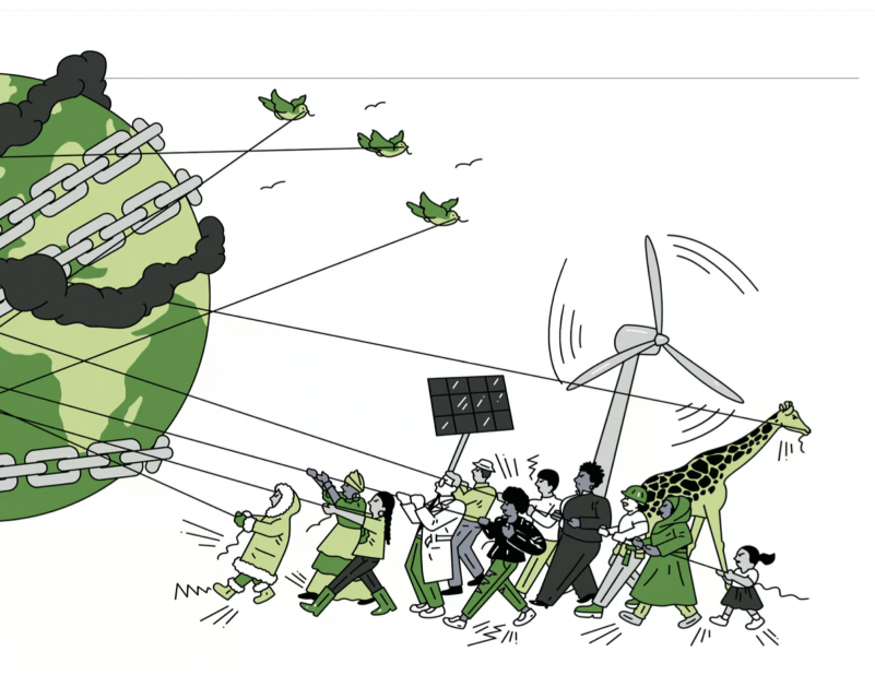 Illustration by Sam Island